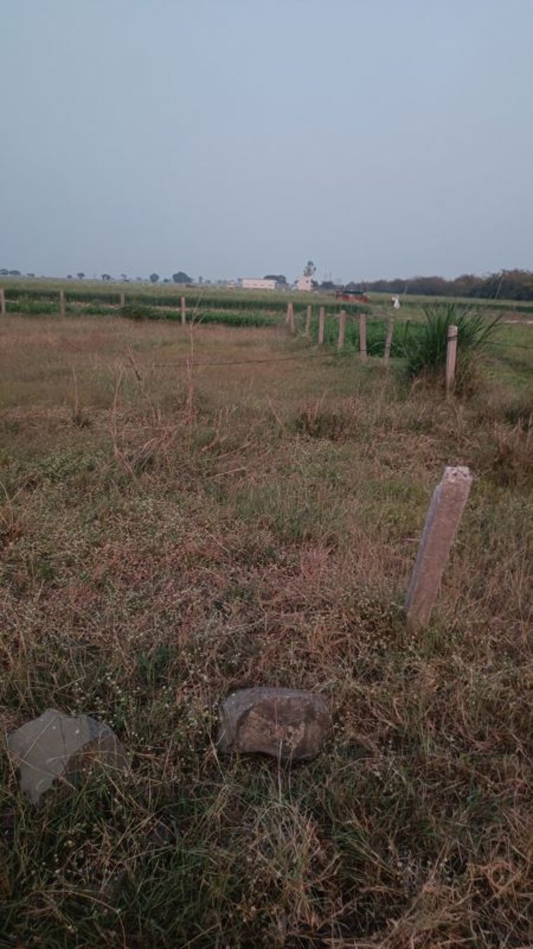 undefined, rambag  8800 Sq.Ft. Plot In Rambag Indore 10092040