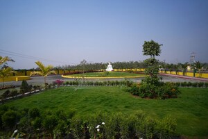 Plot Area in  Plot at Pamarru – for Sale