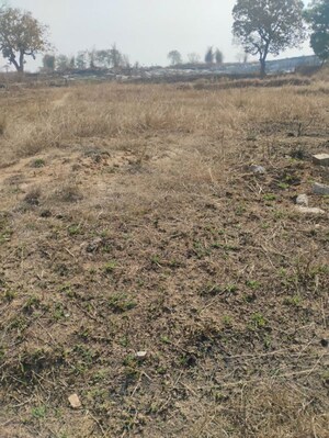 Plot Area in  Plot at Tanko – for Sale