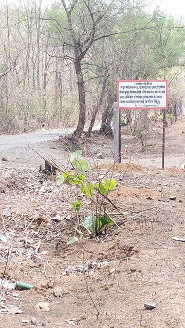 Plot Area in  Plot at Shahapur – for Sale