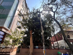  Land For Sale in Koramangala