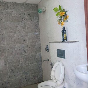Bathroom in 3 BHK Apartment at Terra Lavinium, Sector 75 – for Sale