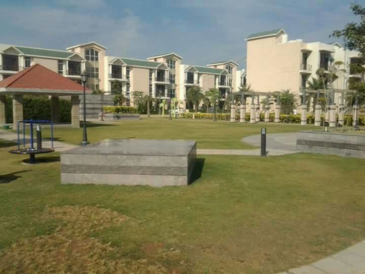 3 BHK 1180 Sq.Ft. Builder Floor in Omaxe Silver Birch