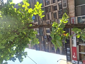 2 BHK Apartment For Rent in Mahape