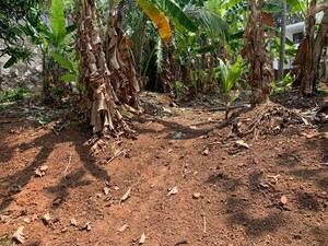  Plot For Sale in Pattom