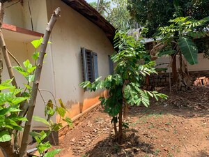  Plot – Exterior View View at Pattom - for Sale