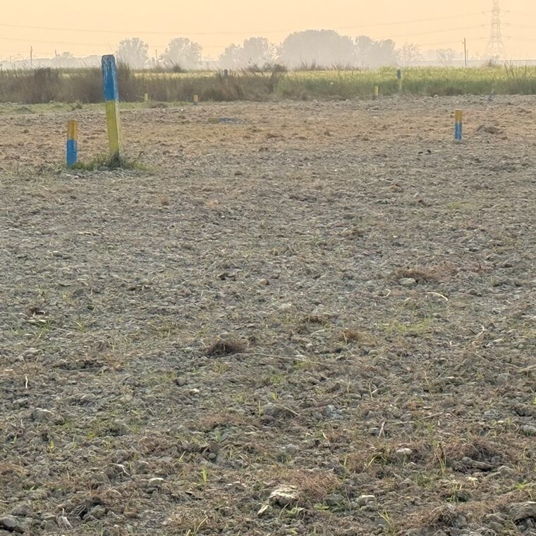 undefined, sobhan  2000 Sq.Yd. Plot In Sobhan Darbhanga 10056564