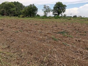 Plot Area in  Plot at Mullanpur – for Sale
