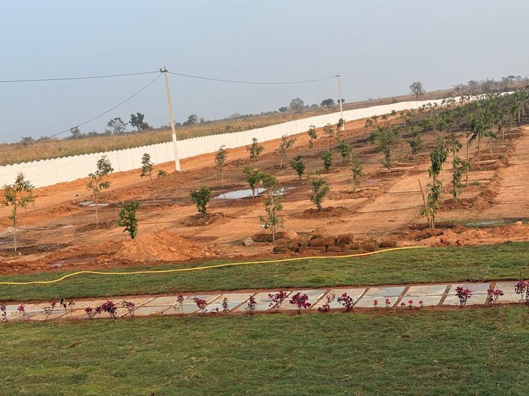 Exterior View, kandukur  605 Sq.Yd. Plot In Kandukur Hyderabad 10095418