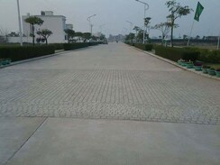 Plot For Sale in Omaxe New Chandigarh