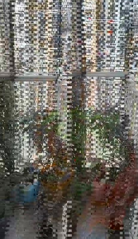 2 BHK + Study Room 1340 Sq.Ft. Apartment in Saya Zion