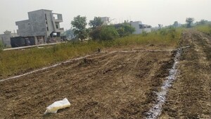 Plot Area in  Plot at Shankarpur – for Sale