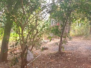  Plot For Sale in New Panvel