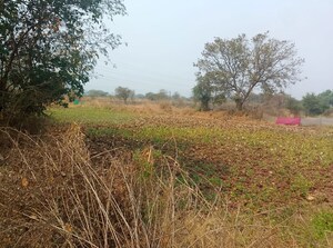 Plot Area in  Land at Chirle – for Sale