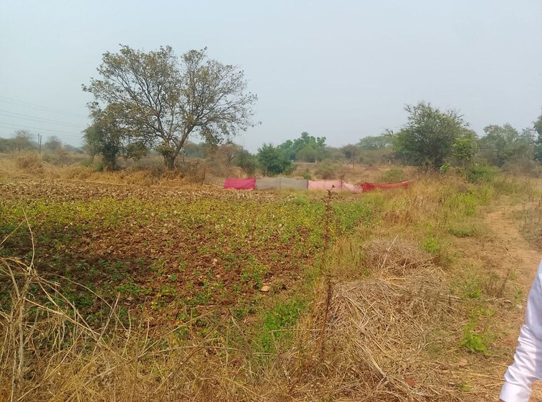 undefined, chirle Commercial Land 1089 Sq.Ft. In Chirle Navi Mumbai 10096169