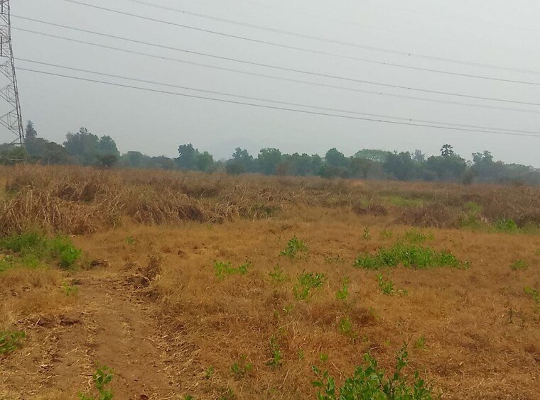 undefined, chirle Commercial Land 1089 Sq.Ft. In Chirle Navi Mumbai 10096169