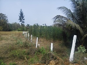 Plot Area in  Plot at Bhogapuram – for Sale
