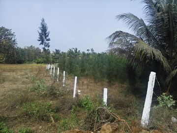 Plot Area in  Plot at Bhogapuram – for Sale