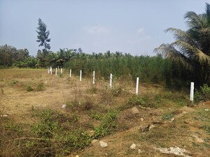Plot Area in  Plot at Bhogapuram – for Sale