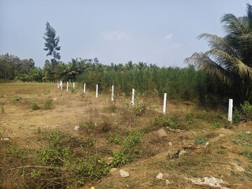 Plot Area in  Plot at Bhogapuram – for Sale