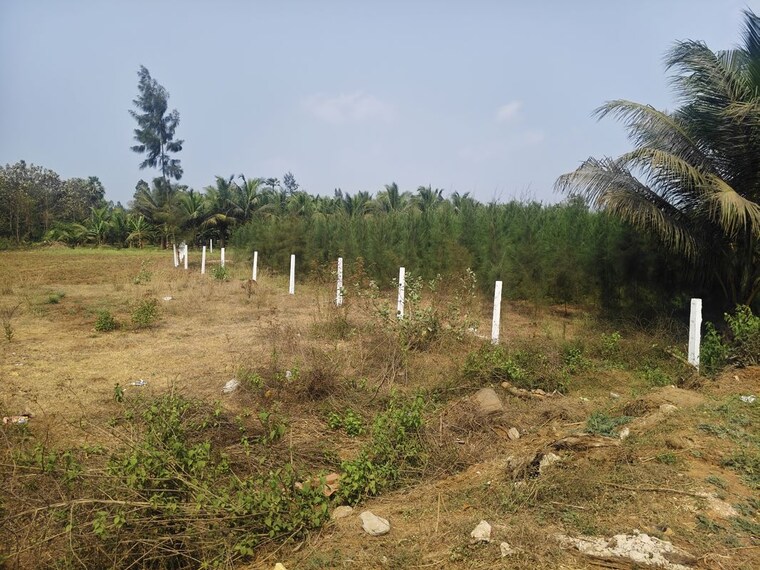 undefined, bhogapuram  2900 Sq.Yd. Plot In Bhogapuram Vizianagaram 10096200