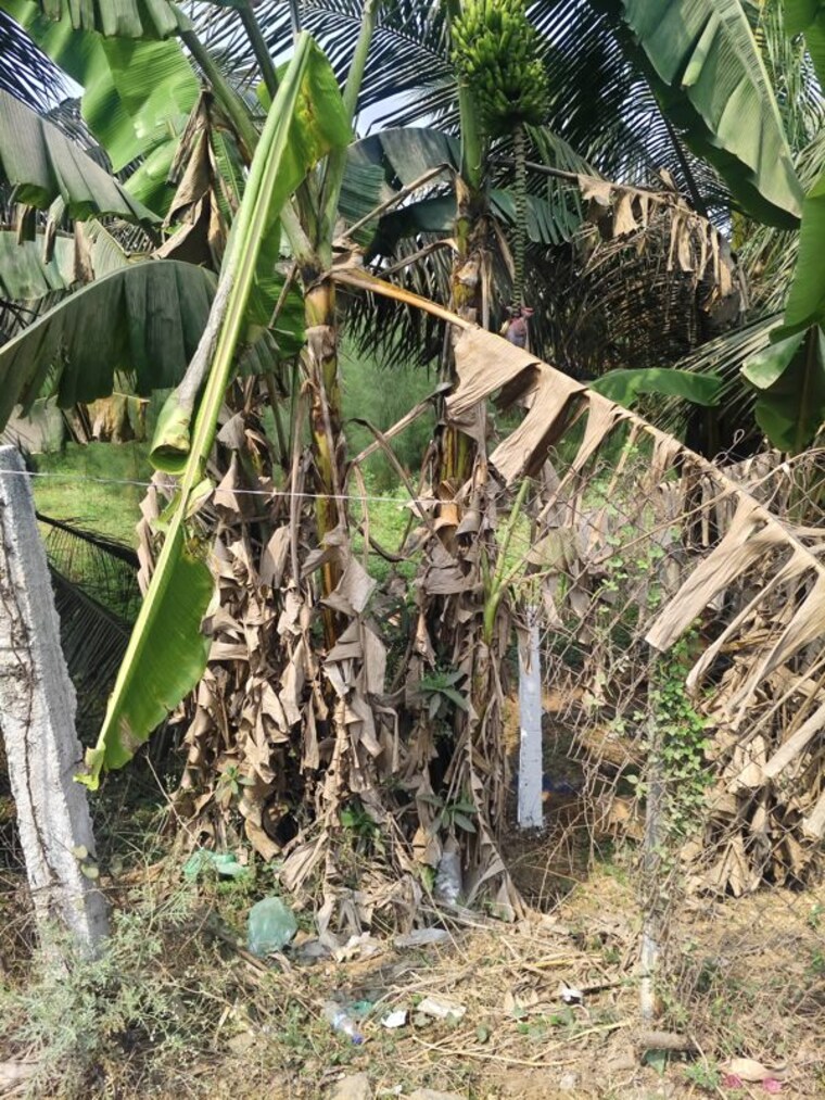 Exterior View, bhogapuram  2900 Sq.Yd. Plot In Bhogapuram Vizianagaram 10096200