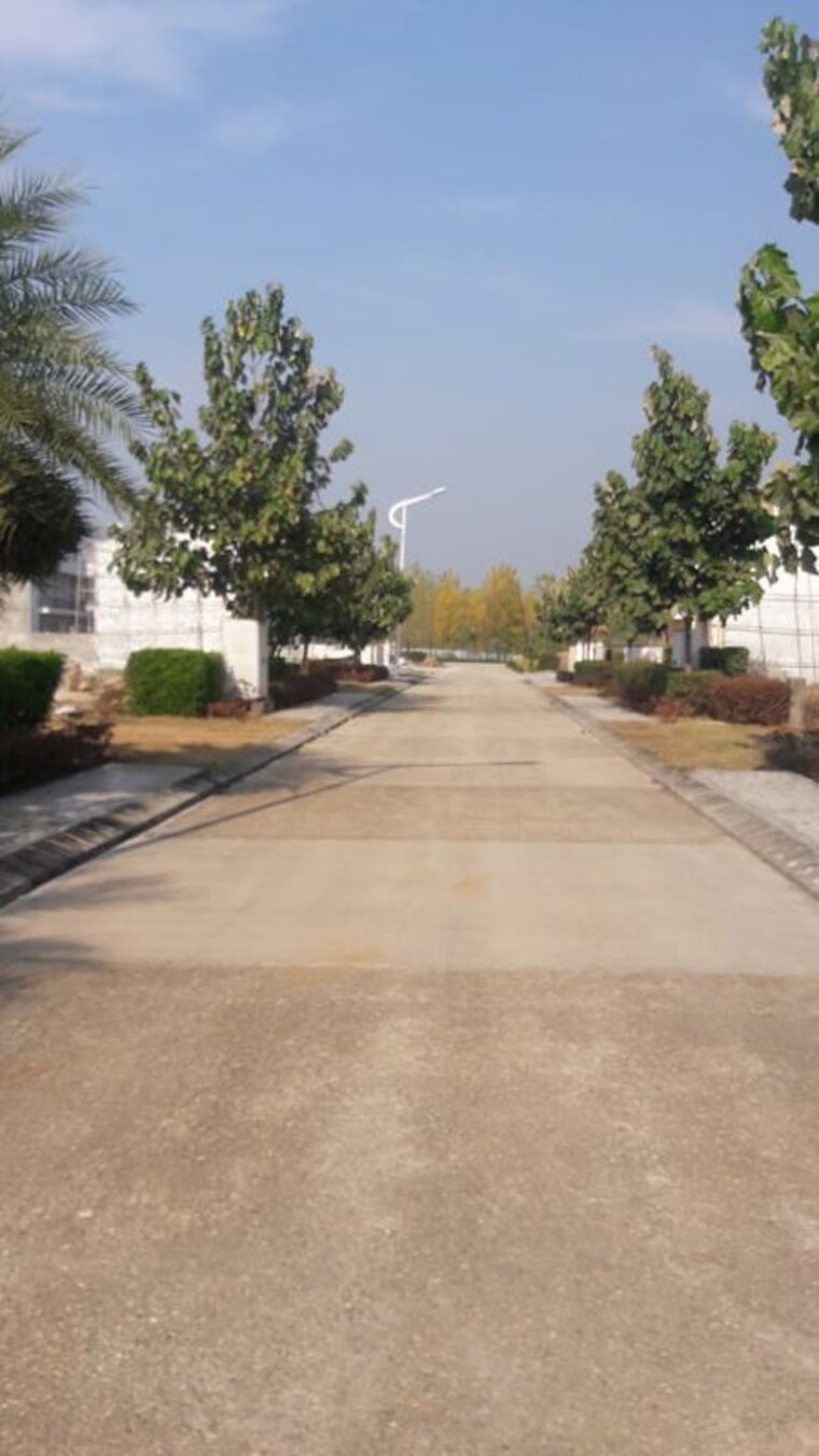 Exterior View, omaxe-new-chandigarh  200 Sq.Yd. Plot In North Mullanpur Chandigarh 10096305