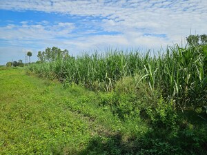 Plot Area in  Land at Sakoti – for Rent