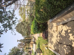 2 BHK Apartment For Rent in Rajapushpa Provincia, Narsingi