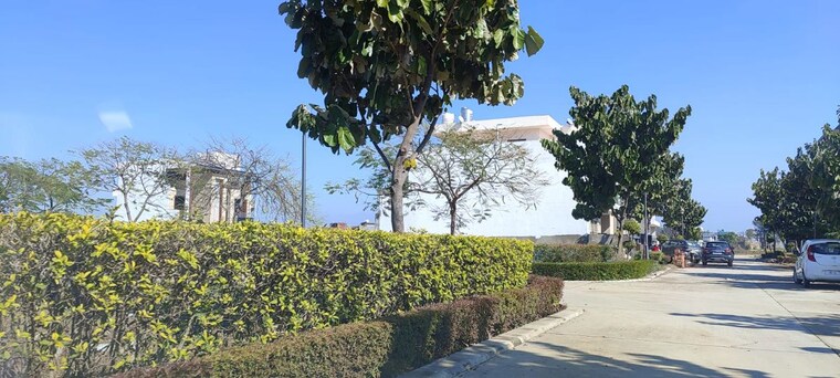 Garden, mullanpur  301 Sq.Yd. Plot In Mullanpur Chandigarh 10096523