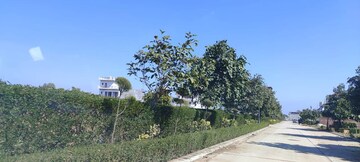 Plot Area in  Plot at Mullanpur – for Sale