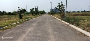 Plot Area in  Plot at Mullanpur – for Sale