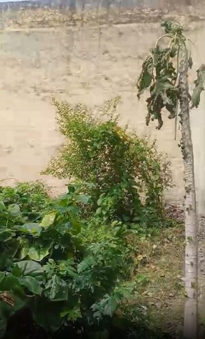 Plot Area in  Plot at Shivpuri – for Sale