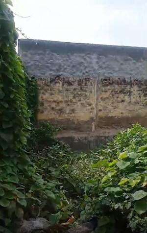 Plot Area in  Plot at Shivpuri – for Sale