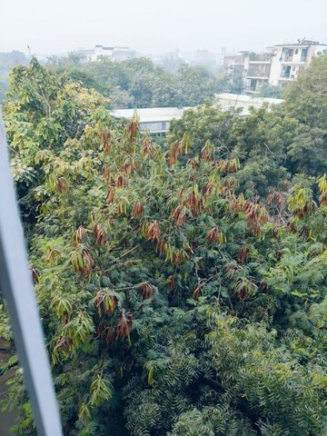 2 BHK Builder Floor – Garden View at Saket - for Sale