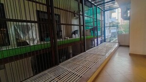 Balcony in 3 BHK Builder Floor at Unitech Greenwood City Apartment, Sector 45 – for Sale