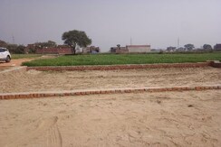 Plot For Sale in Sector 115