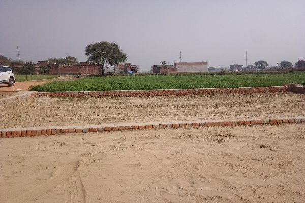 Plot For Sale in Sector 115