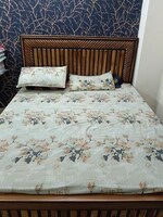 2 BHK 1050 Sq.Ft. Builder Floor in Shyama Apartments Noida