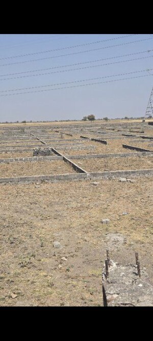  Plot For Sale in Shyam Dholera Global City, Dholera