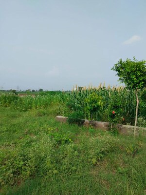 Plot Area in  Plot at Sector 1 Wave City – for Sale