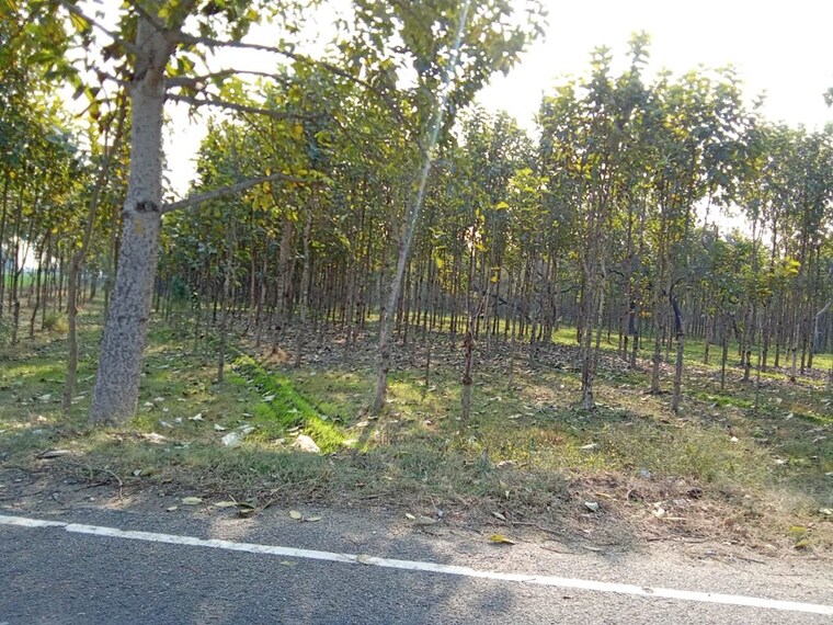 undefined, sector 1 wave city  121 Sq.Yd. Plot In Sector 1 Wave City Ghaziabad 10097591