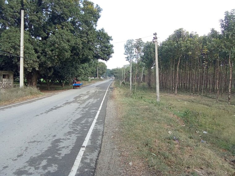 undefined, sector 1 wave city  141 Sq.Yd. Plot In Sector 1 Wave City Ghaziabad 10097593