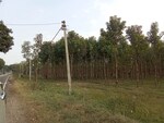 109 Sq.Yd. Plot in Sector 1 Wave City