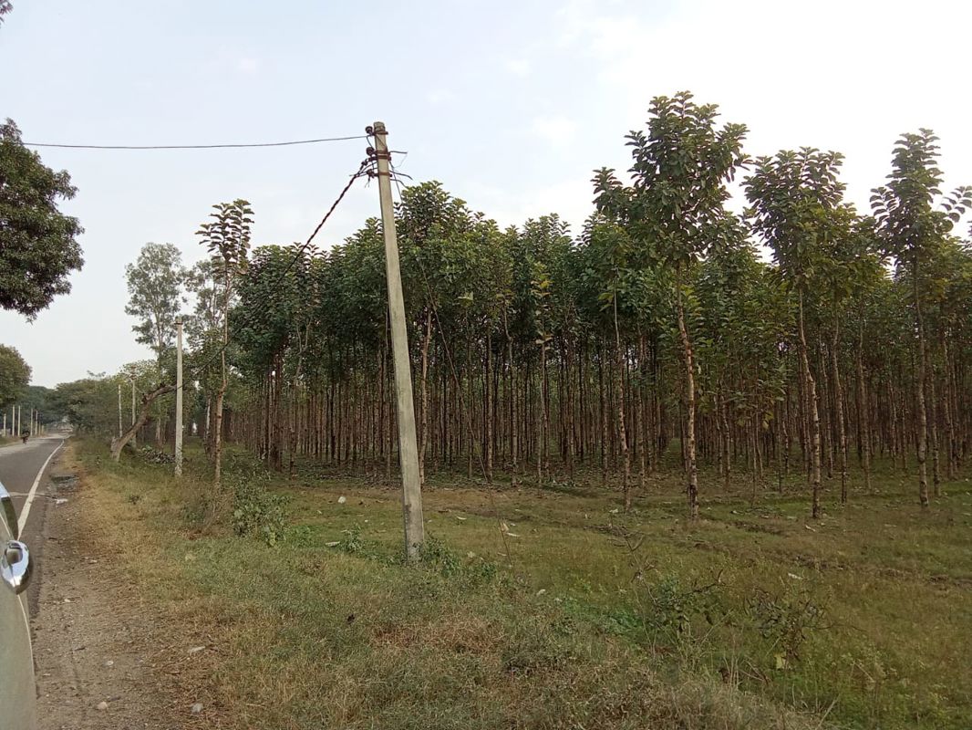 Plot For Sale in Sector 1 Wave City
