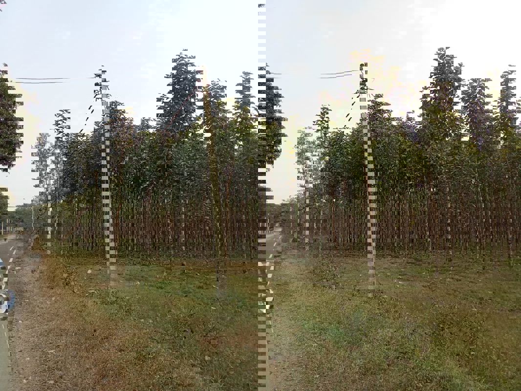  Plot For Sale in Sector 1 Wave City