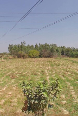 Plot Area in  Plot at Kolar – for Sale