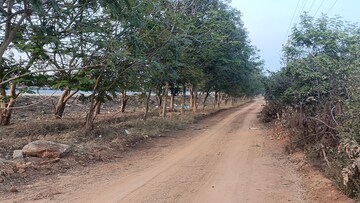 Plot Area in  Land at Kothur – for Sale