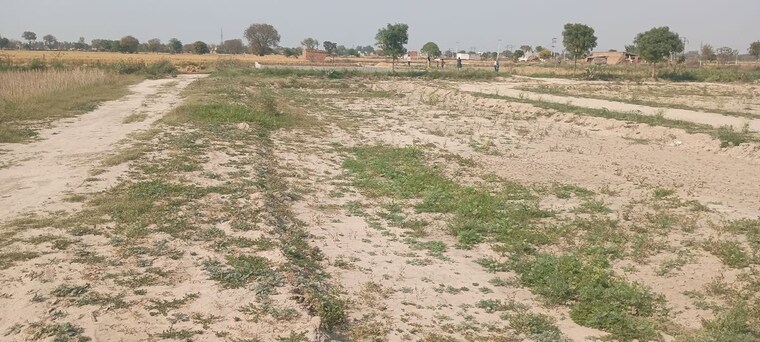 undefined, mathura road  100 Sq.Yd. Plot In Mathura Road Palwal 10098446
