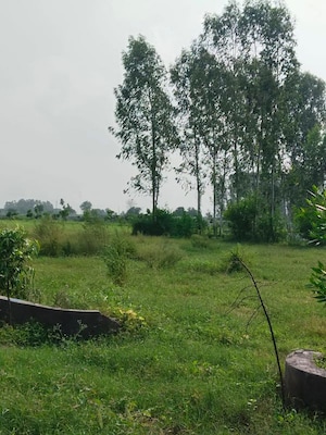 Plot Area in  Plot at Amolik Aster Woods, Sector 98 – for Sale